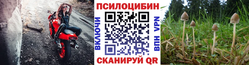 сайты даркнета Telegram  Анжеро-Судженск  Псилоцибиновые грибы Psilocybine cubensis 